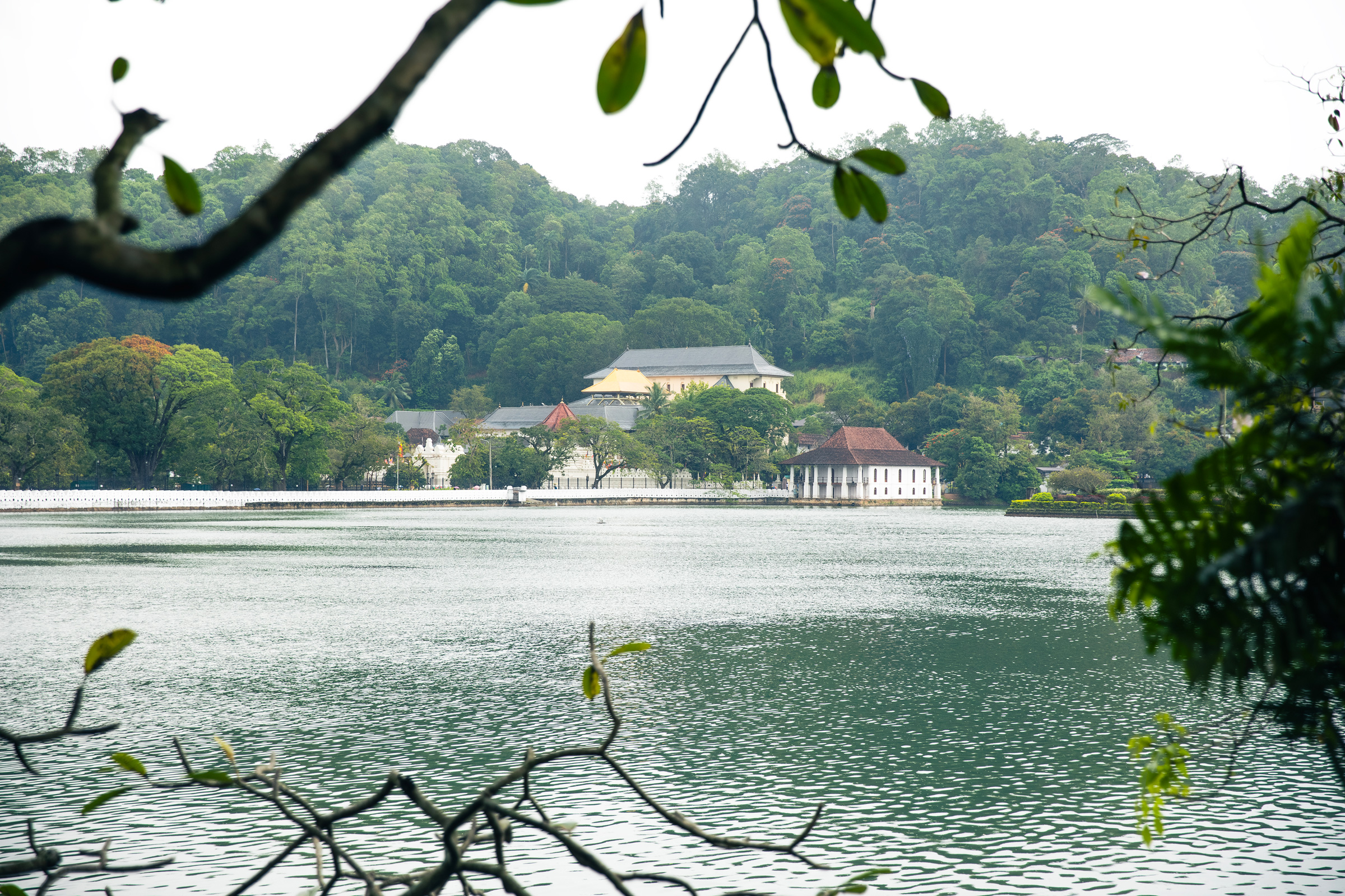 Kandy, Nuwara Eliya, Elepahts, ColomboBentota