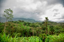 Belihuloya, Bir Watching, Jungle, waterfall, 