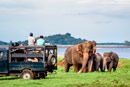 Yala, Mirissa, yala national Park