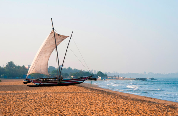 Negambo, Negambo Beach, Sea food