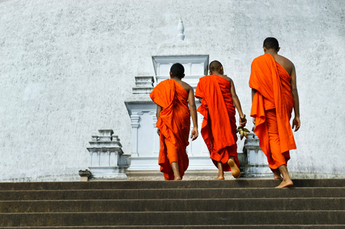 Sri Maha Bodhi Tree, Ruwanwelisaya, Jetavanar