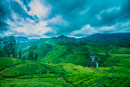 Nuwara ELiya, Tea Plantations, Highland Retre